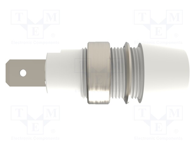 Socket; 4mm banana; 32A; 1kV; white; nickel plated; screw; 41mm