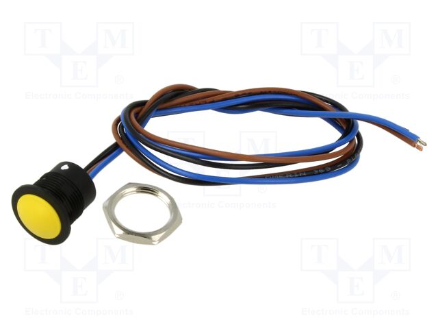 Switch: vandal resistant; Pos: 2; SPDT; 2A/24VDC; IP65; ON-(ON)