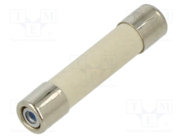 Fuse: fuse; 2A; 450VAC; quick blow; ceramic,cylindrical; brass