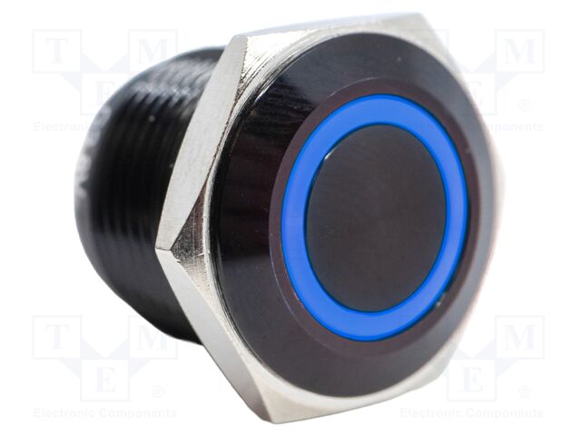 Switch: vandal resistant; Pos: 2; SPST-NO; 2A/48VDC; IP65; OFF-(ON)