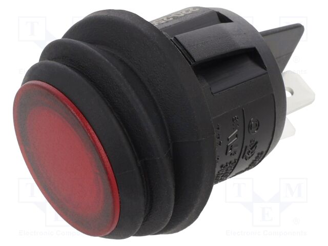 ROCKER; DPST; Pos: 2; ON-OFF; 10A/250VAC; red; IP65; LED; R13-244-AC