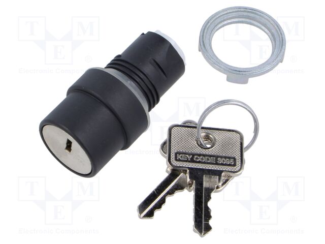 Switch: rotary with key; 22mm; Stabl.pos: 2; none; IP65; prominent