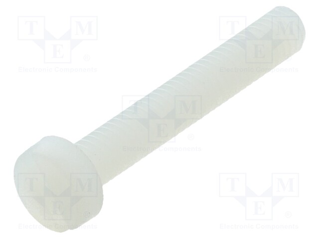 Screw; M4x25; 0.7; Head: cheese head; slotted; 1,3mm; polyamide