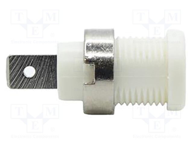Socket; 4mm banana; 35A; 1kV; white; nickel plated; on panel,screw