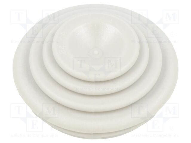 CABLE GLAND D.29 CONDUIT MAX DIAM.25MM