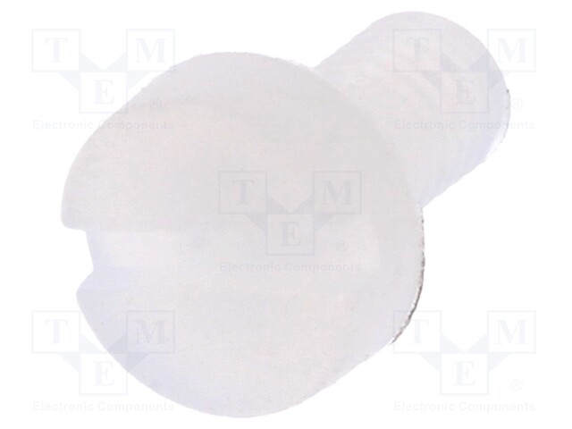 Screw; M3x6; 0.5; Head: cheese head; slotted; 0,9mm; polyamide