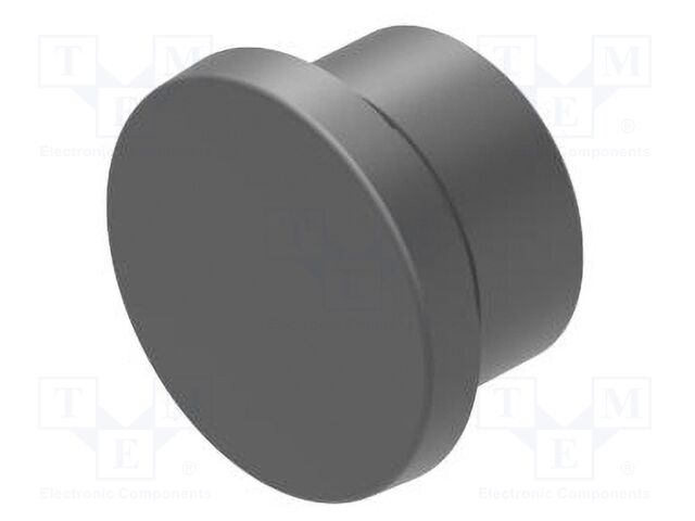 Switch Accessory, Blind Plug, EAO 04 Series Pushbutton Switches