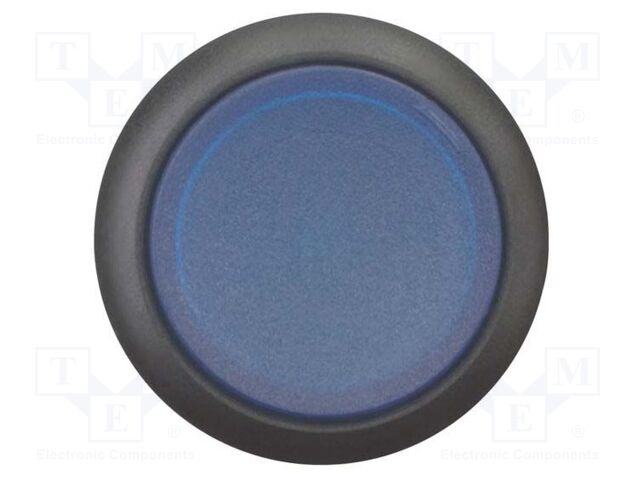 Switch: push-button; Stabl.pos: 2; 22mm; blue; IP67; Pos: 2; Ø22.5mm
