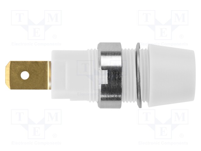 Socket; 4mm banana; 32A; 1kV; white; gold-plated; screw; insulated
