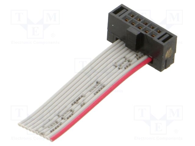 Ribbon cable with IDC connectors; Tape ph: 0.64mm; 25.4mm