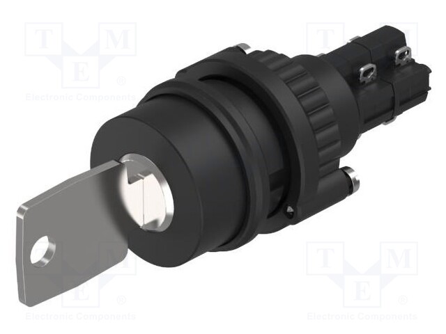 Switch: rotary with key; Stabl.pos: 2; NC x2 + NO x2; 14; Pos: 2