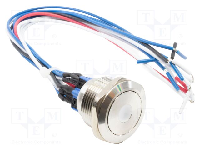 Switch: vandal resistant; DPST-NO + DPST-NC; 2A/48VDC; IP65; 24V