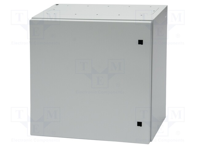Enclosure: wall mounting; X: 600mm; Y: 600mm; Z: 250mm; AX; IP66; IK10