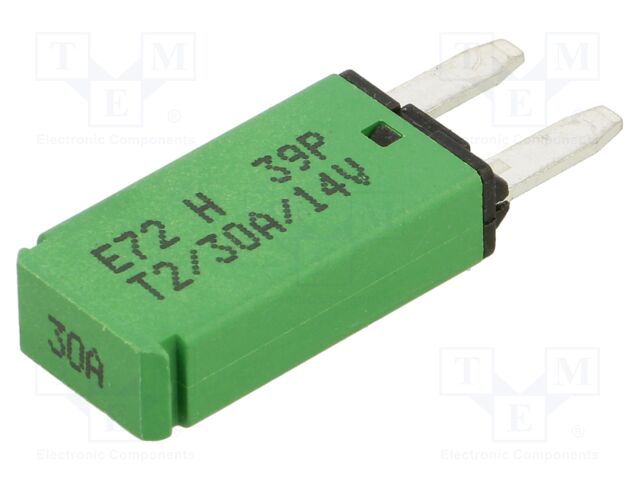 Fuse: fuse; 30A; 14VDC; automotive