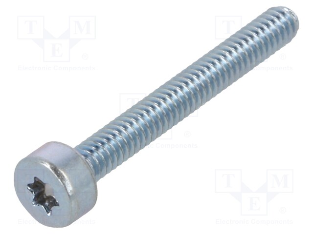 Screw; M2x12; Head: cheese head; Torx®; TX06; steel; zinc
