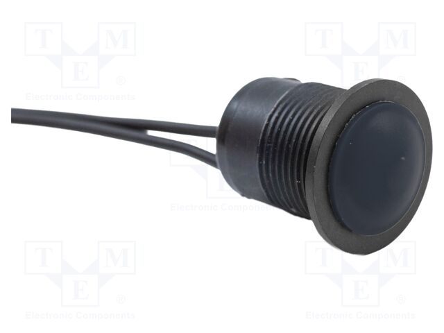 Switch: vandal resistant; Pos: 2; SPST; 2A/24VDC; IP67; OFF-(ON)