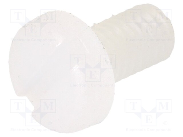 Screw; M3x6; 0.5; Head: cheese head; slotted; 0,9mm; polyamide