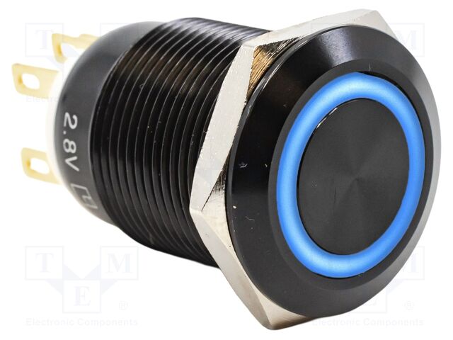 Switch: vandal resistant; Pos: 2; SPST NC + NO; 2A/24VDC; ON-(ON)