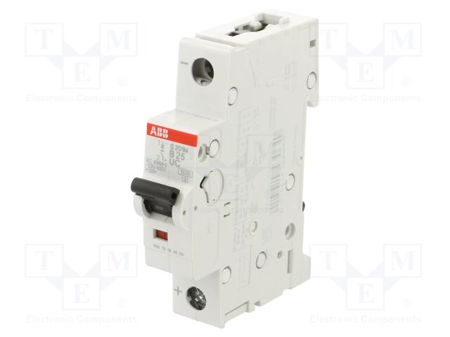 Circuit breaker; 230VAC; 220VDC; Inom: 25A; Poles: 1; Charact: B