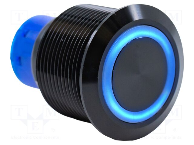 VANDAL SWITCH, DPDT, 3A, 250V