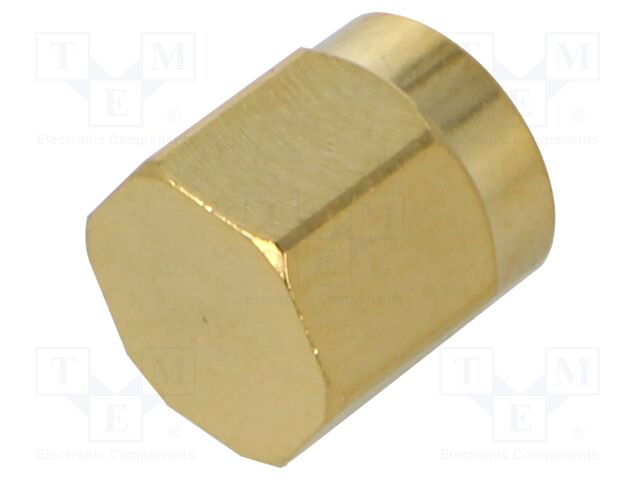 Accessories: protection cover; chain; gold-plated; IP67