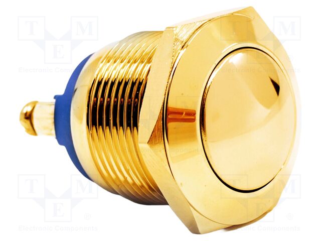 Switch: vandal resistant; SPST-NO; 2A/36VDC; IP65; OFF-(ON); Ø19mm