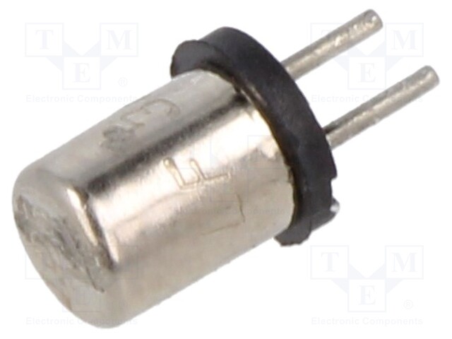 Fuse: fuse; ultra rapid; 300mA; 125VAC; 125VDC; TR3