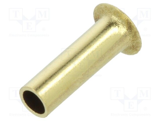 Rivet; brass; Rivet diam: 2.5mm; L.rivet: 8mm; BN 572; DIN 7340A
