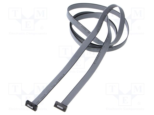 Ribbon cable with IDC connectors; IDC,both sides; Tape ph: 1mm