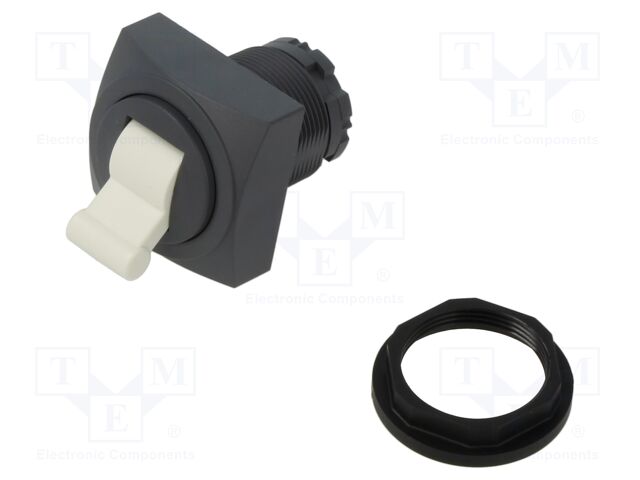 Switch: toggle; IP65; square; Ø22.3mm
