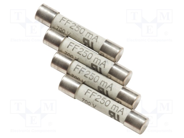 Fuse; 250mA; 600V; 4pcs.