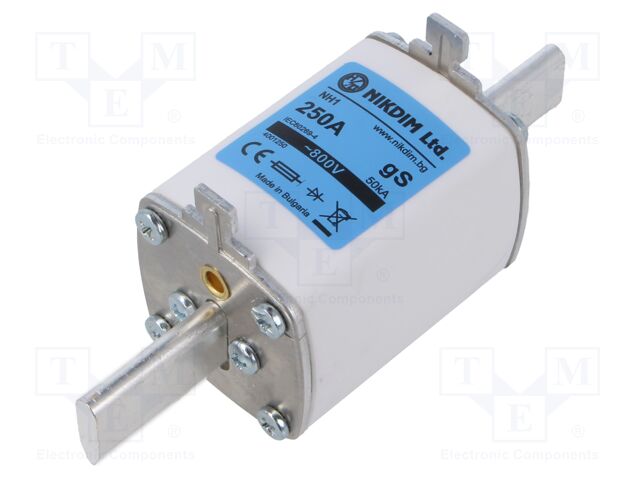 Fuse: fuse; 250A; 800VAC; gS; industrial; NH1