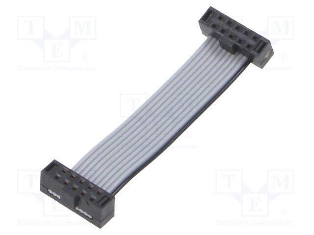 Ribbon cable with IDC connectors; IDC,both sides; Tape ph: 1mm