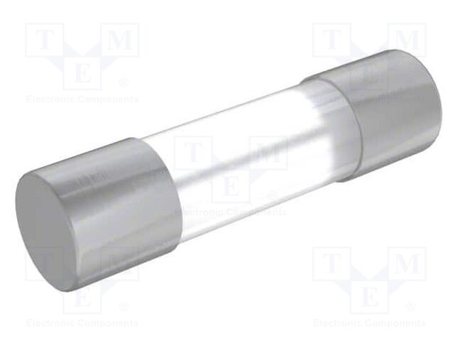 Fuse: fuse; time-lag; 1A; 250VAC; cylindrical,glass; 5x20mm; brass
