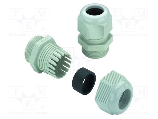 Cable gland