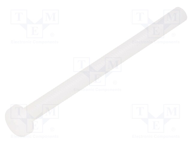 Screw; M3x40; 0.5; Head: cheese head; Pozidriv; 0,8mm; polyamide