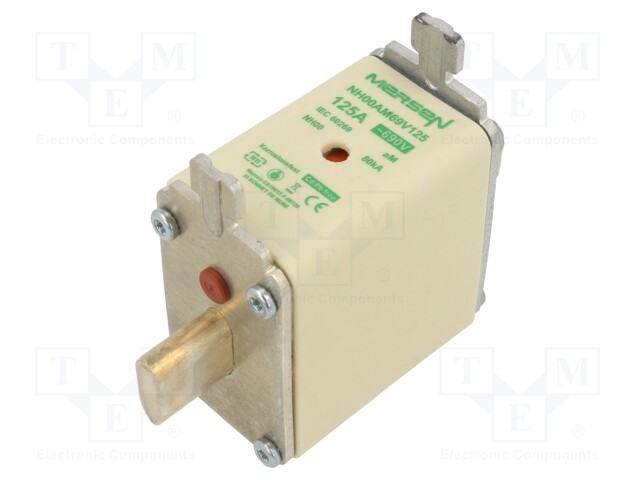 Fuse: fuse; aM; 125A; 690VAC; ceramic,industrial; NH00