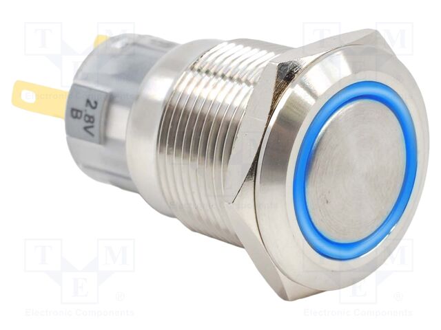 Switch: vandal resistant; Pos: 2; SPDT; 2A/24VDC; ON-(ON); IP65