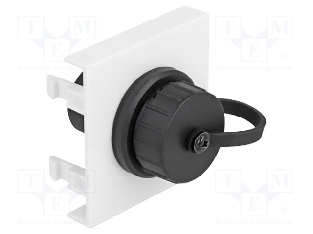 USB module; Easy 45; USB A socket,both sides; white; 5Gbps