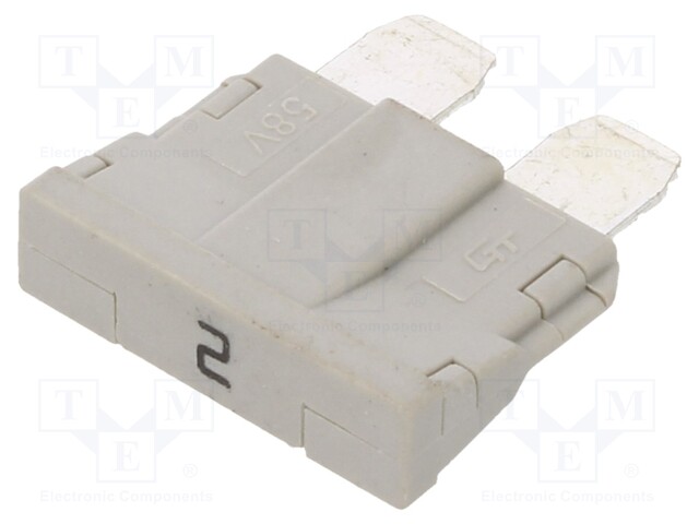 Fuse: fuse; 2A; 250VAC; 58VDC; automotive; 19mm