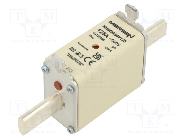 Fuse: fuse; gG; 125A; 500VAC; 250VDC; ceramic,industrial; NH0