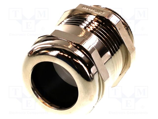 Accessories: cable gland