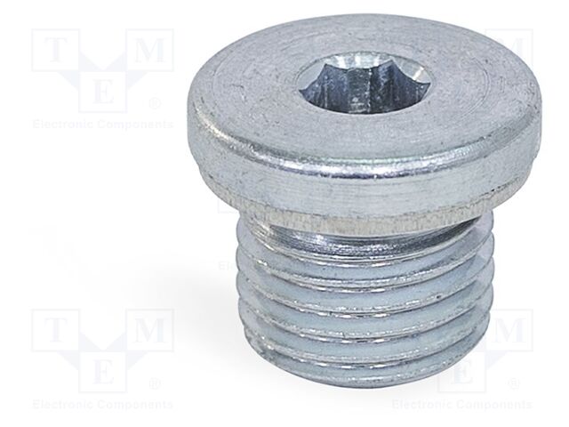 Hexagon head screw plug; with seal; Thread: M8; Pitch: 1; DIN 908