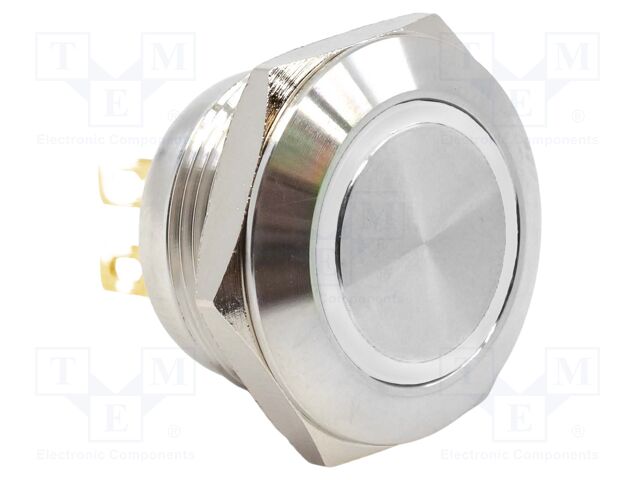 Switch: vandal resistant; SPST-NO; 0.05A/24VDC; IP65; OFF-(ON)