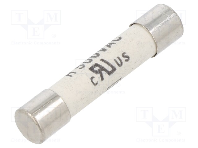Fuse: fuse; time-lag; 10A; 500VAC; 400VDC; ceramic,cylindrical
