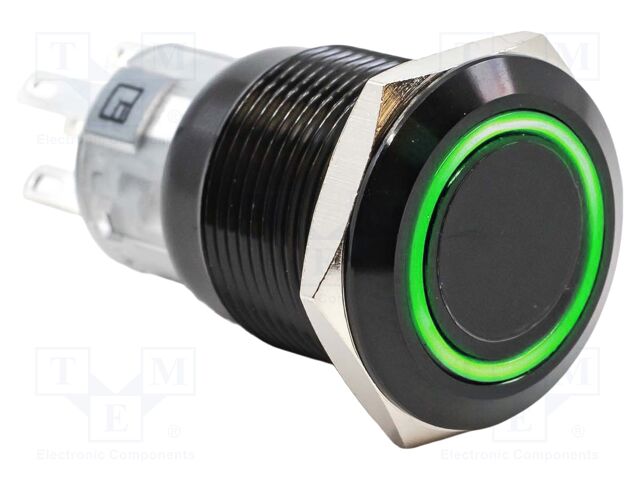 Switch: vandal resistant; SPDT; 2A/24VDC; IP67; ON-(ON); green; 6V