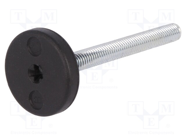 Foot of pin; rigid,with screwdriver slot; Base dia: 40mm; M12