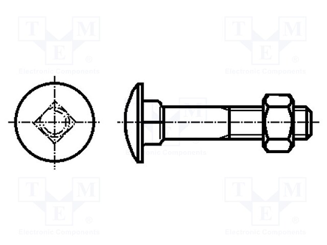 Screw; M6x65; DIN: 603; Head: button; square; steel; zinc; 18mm