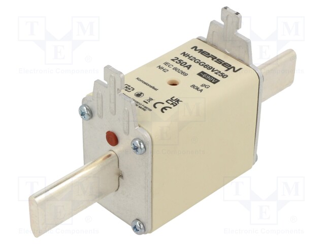 Fuse: fuse; gG; 250A; 690VAC; 250VDC; ceramic,industrial; NH2