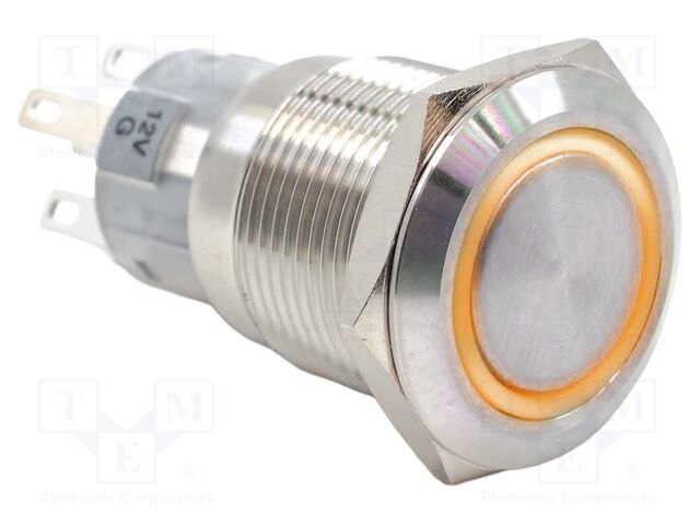 Switch: vandal resistant; Pos: 2; DPDT; 2A/24VDC; IP65; ON-ON; 1GΩ